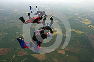 Four skydivers photo