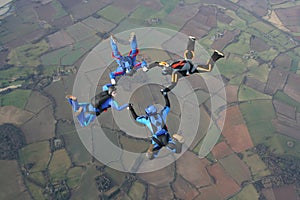 Four skydivers