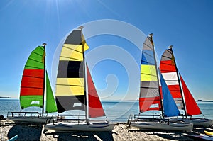 Four Small Catamarans with Brightly Colored Sails on a Key Biscayne Beach photo