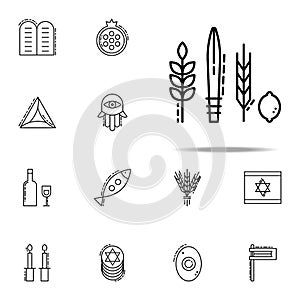 Four Species icon. Judaism icons universal set for web and mobile