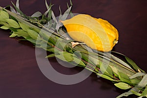 The four species for Sukkot holiday