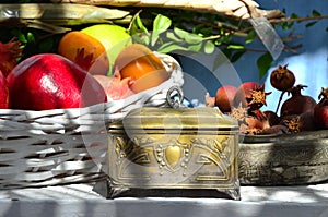 Four species of Sukkot - judaica: an old Etrog holder