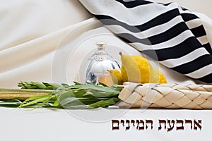 Sukkot. etrog and lulav with talit. Text - four species photo