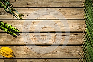 Four species, symbols of Jewish holiday Sukkot