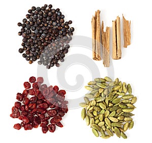 Four Spices and Berries for Gin Tonic photo