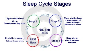 Sleep Cycle Stages photo