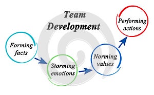 Stages of Team Development photo