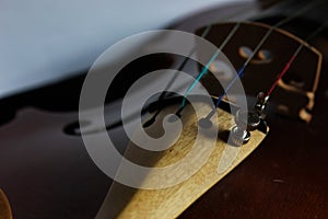 The four strings of a violin with a fine tuner on the e string.