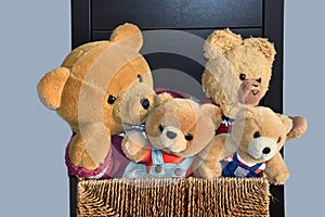 Four teddy bears sitting in sisal box