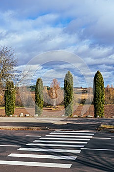 Four thujas. In-street ped crossing