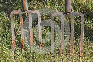 Four tined digging forks photo