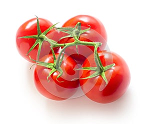 Four tomatoes on a branch isolated on white background