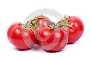 Four tomatoes on a branch