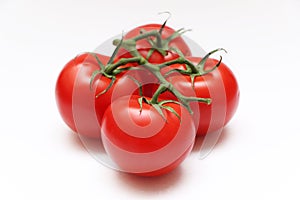 Four Tomatoes on a Vine