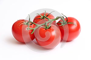 Four Tomatoes on a Vine 2