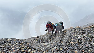 Four tourists with large backpacks are walking along the barrow in the rain.