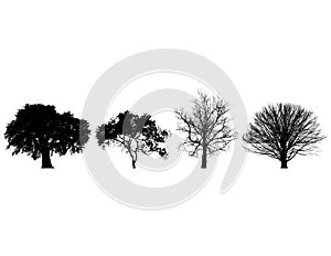 Four Trees