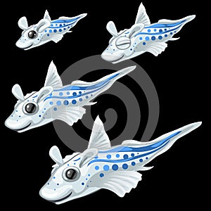 Four tropical white fish on a black background