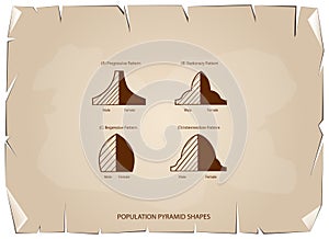 Four Types of Population Pyramids on Old Paper Background