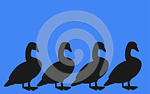 Four walking ducks in a row silhouette set against a blue backdrop