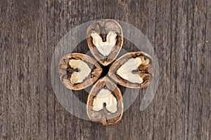 Flower of walnuts photo