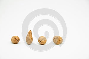 four walnuts in line on a white background in which one is a different walnut. Instead of being rounded it is elongated at the tip