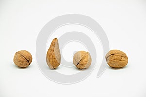 four walnuts in line on a white background in which one is a different walnut. Instead of being rounded it is elongated at the tip