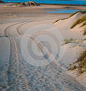 Four Wheel Drive car tire print on sand dune in the beach of Trafalgar, Cadiz, Spain