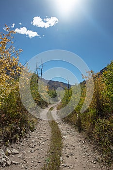 Four wheel drive road [Medano Pass primitive road] through the Sangre De Cristo range of the Rocky Mountains in Colorado United