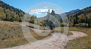 Four wheel drive road [Medano Pass primitive road] through the Sangre De Cristo range of the Rocky Mountains in Colorado United