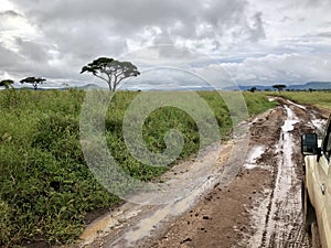 Four-wheel drive safari vehicle driving on wet pothole road with dark cloud at Serengeti in Tanzania, Africa