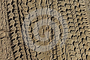 Four wheel drive tracks in sand textured background