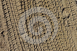 Four wheel drive tyre tracks in damp sand textured background