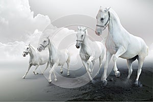 Cuatro blanco caballos 