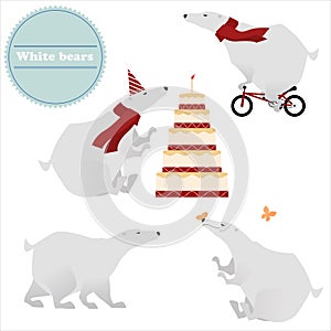 Four white polar bears isolated on background. Vector set.