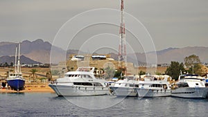 Four white yachts in the Red Sea. Egypt