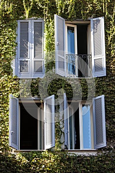 Four windows. Building facade entirely covered with ivy.