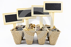 Four, wooden blank boards, label with stick, stuck in a cardboard extruder filled with decorative pebbles, conceptual photo,space