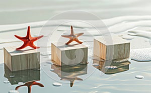 four wooden blocks and a red starfish on white background