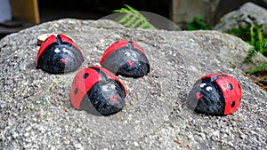 Four wooden ladybirds on a stone. Decorative garden element, handmade