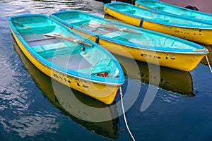 Four yellow and blue boats in a still lake water