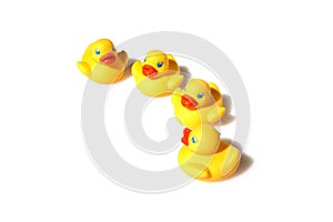 Four yellow ducks swimming
