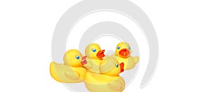 Four yellow ducks swimming