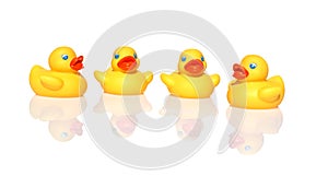 Four yellow ducks swimming
