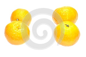 Four yellow Mandarin isolated on white background