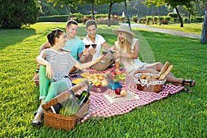Young friends picnicking in the park photo