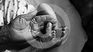 Fourth generation family life. old grandmother hands holding newborn feet, black and white shot, the concept of a family and a new