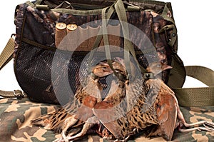Fowling bag and bird. photo