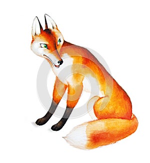 Fox