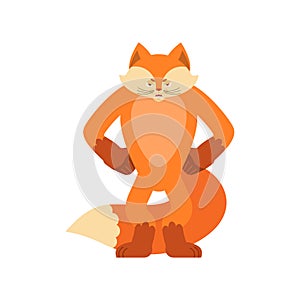Fox angry. Wild beast evil emotions avatar. she-fox aggressive.